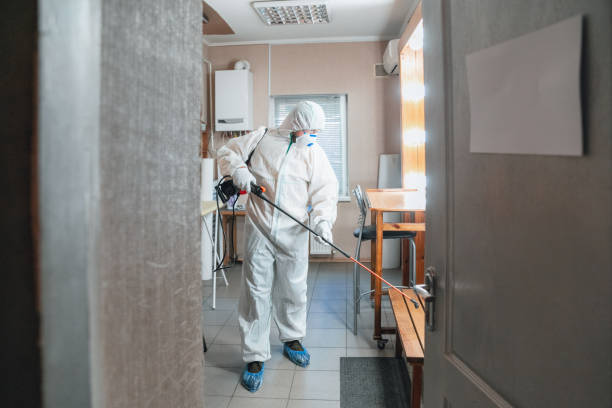 Best Black Mold Removal  in Monticello, IL