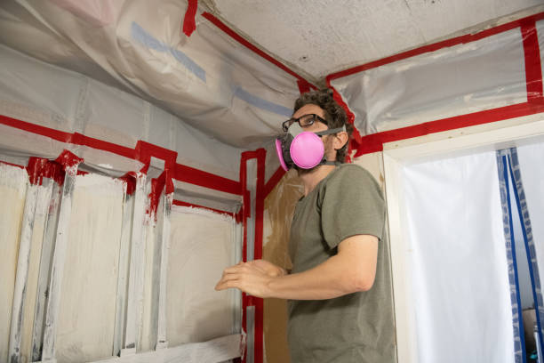 Best Environmental Consulting for Mold Prevention  in Monticello, IL