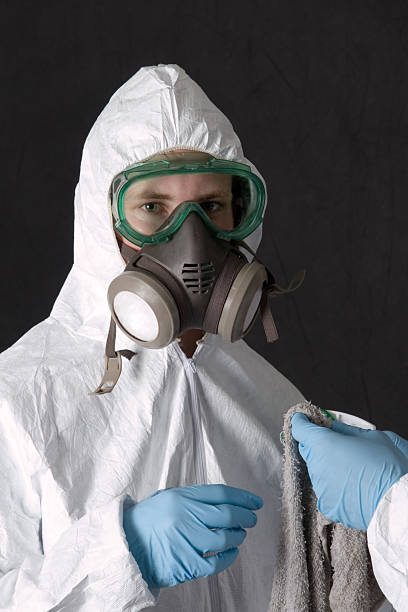 Best Industrial Mold Remediation  in Monticello, IL